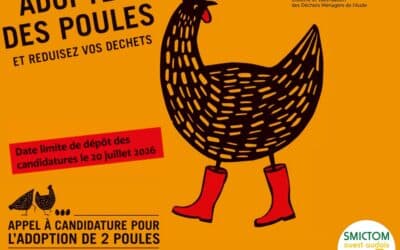 Adoptez des poules
